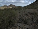 photo thumbnail #5