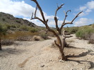 photo thumbnail #14