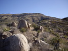 photo thumbnail #10