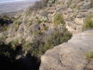 photo thumbnail #5