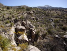 photo thumbnail #10