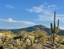 photo thumbnail #1
