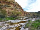 photo thumbnail #12