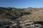 photo thumbnail #10