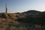 photo thumbnail #11