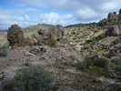 photo thumbnail #3