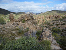 photo thumbnail #4