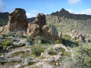 photo thumbnail #7