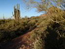 photo thumbnail #3