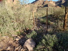 photo thumbnail #4