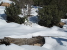photo thumbnail #3