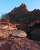 photo thumbnail #4