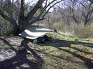 photo thumbnail #4