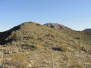 photo thumbnail #4