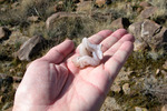 photo thumbnail #3