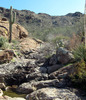 photo thumbnail #9