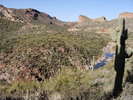 photo thumbnail #3