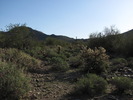 photo thumbnail #1