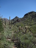 photo thumbnail #6