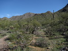 photo thumbnail #7
