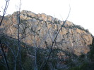 photo thumbnail #10