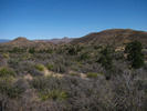 photo thumbnail #6