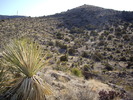photo thumbnail #9