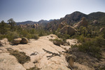photo thumbnail #4