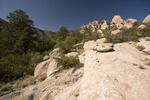 photo thumbnail #9