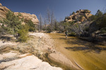 photo thumbnail #13