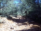 photo thumbnail #1