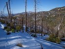 photo thumbnail #3
