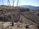 photo thumbnail #4