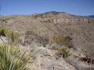 photo thumbnail #6