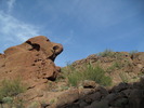 photo thumbnail #2
