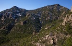 photo thumbnail #8