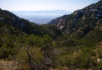 photo thumbnail #9
