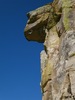 photo thumbnail #14