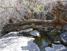 photo thumbnail #8
