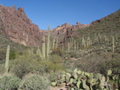 photo thumbnail #2