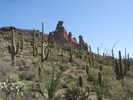 photo thumbnail #9