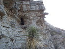 photo thumbnail #11
