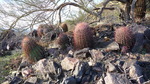 photo thumbnail #4