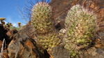photo thumbnail #6