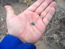 photo thumbnail #9