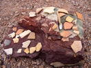 photo thumbnail #10
