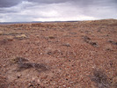 photo thumbnail #14