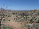 photo thumbnail #2