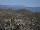 photo thumbnail #3