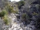 photo thumbnail #11